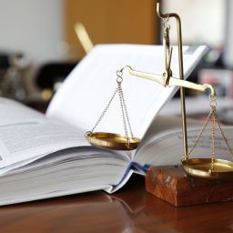 avukat şeyda karasu